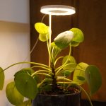 Tam Spektrumlu Bitki Yetiştirme Led Lamba  melek halka Günışığı 8w 5V USB
