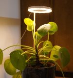 Tam Spektrumlu Bitki Yetiştirme Led Lamba  melek halka Günışığı 8w 5V USB