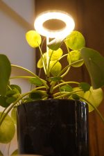 Tam Spektrumlu Bitki Yetiştirme Led Lamba  melek halka Günışığı 8w 5V USB - Görsel 2