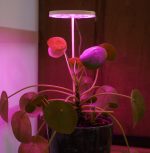 Bitki LED lamba 5V USB FULLSPECTRUM Bitki Yetiştirme - Bitki Geliştirme Lambası Halka  8W