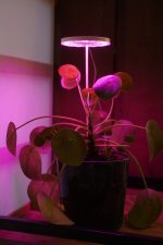 Bitki LED lamba 5V USB FULLSPECTRUM Bitki Yetiştirme - Bitki Geliştirme Lambası Halka  8W - Görsel 2