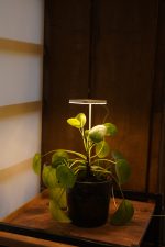 Tam Spektrumlu Bitki Yetiştirme Led KARE Günışığı  8W 5V USB - Görsel 2
