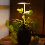 Tam Spektrumlu Bitki Yetiştirme Led KARE Günışığı  8W 5V USB