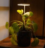Tam Spektrumlu Bitki Yetiştirme Led KARE Günışığı  8W 5V USB