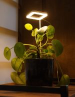 Tam Spektrumlu Bitki Yetiştirme Led KARE Günışığı  8W 5V USB - Görsel 3