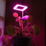 OrionLed Bitki LED Lamba 5V USB Tam Spektrumlu Bitki Yetiştirme Lambası 8W Pembe