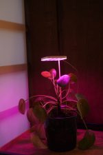 OrionLed Bitki LED Lamba 5V USB Tam Spektrumlu Bitki Yetiştirme Lambası 8W Pembe - Görsel 2