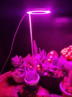 Bitki LED lamba 5V USB FULLSPECTRUM Bitki Yetiştirme - Bitki Geliştirme Lambası Halka  8W - Görsel 6
