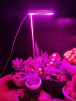 Bitki LED lamba 5V USB FULLSPECTRUM Bitki Yetiştirme - Bitki Geliştirme Lambası Halka  8W - Görsel 7