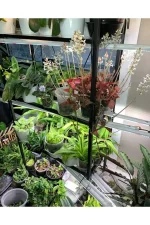 5 Renk Full Spectrum Bitki Yetiştirme LED Aydınlatma – 100 cm - Görsel 4