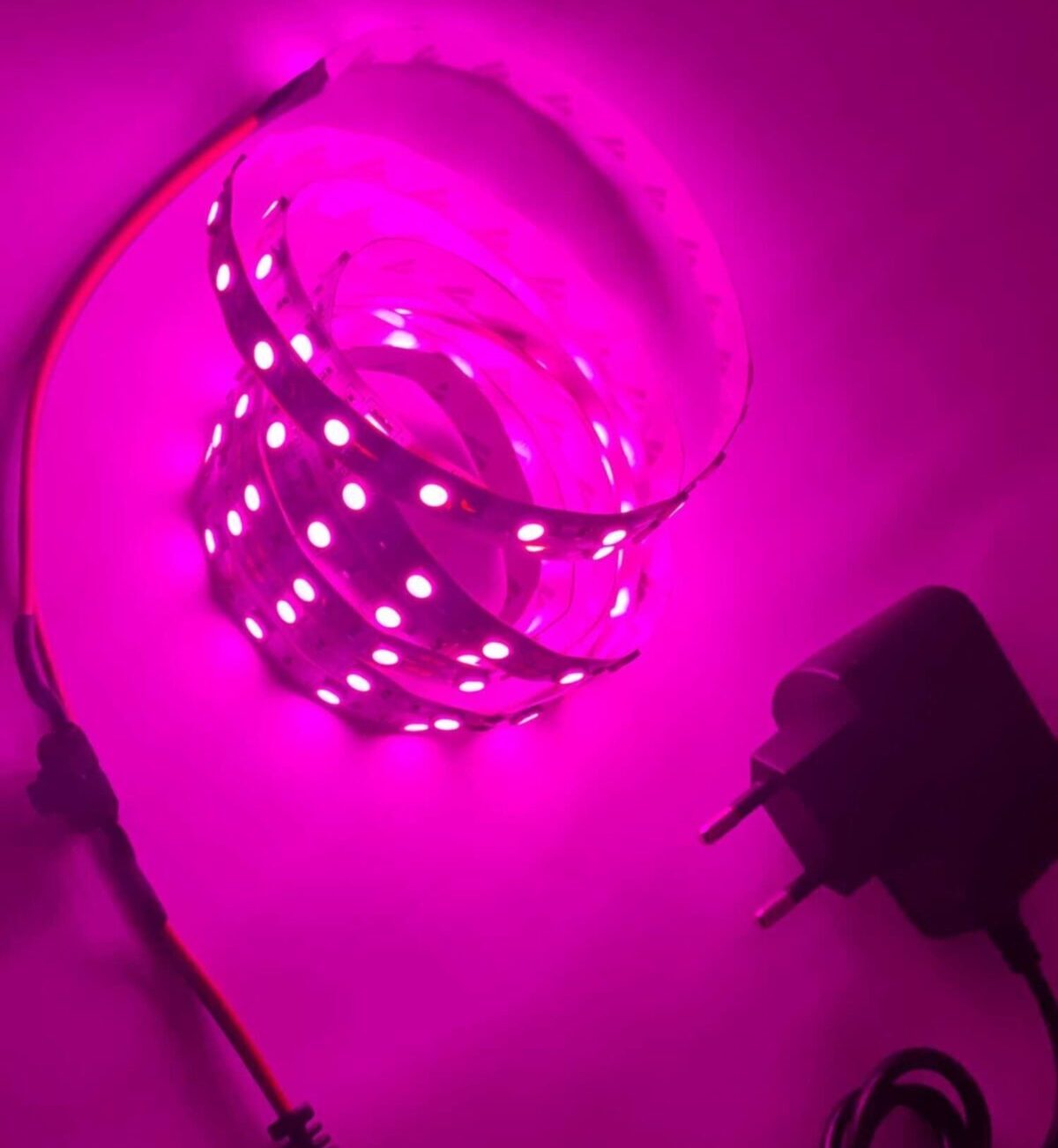 Spectra-Full-Spectrum-Bitki-Yetistirme-gelistirme-1-Metre-Serit-Led-adaptor-Dahil-380-740-Nm-.jpeg Spectra Full Spectrum Bitki Yetiştirme (geliştirme ) 1 Metre Şerit Led (adaptör Dahil) 380-740 Nm - Görsel 1