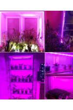Spectra Full Spectrum Bitki Yetiştirme (geliştirme ) 1 Metre Şerit Led (adaptör Dahil) 380-740 Nm - Görsel 3