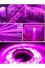 Spectra Full Spectrum Bitki Yetiştirme (geliştirme ) 1 Metre Şerit Led (adaptör Dahil) 380-740 Nm - Görsel 4