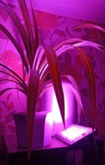 OrionLed bitki geliştirme lambası - 20 w tüketim 200w gücünde ışık performansı - Görsel 7