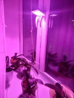 OrionLed bitki geliştirme lambası - 20 w tüketim 200w gücünde ışık performansı - Görsel 8