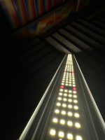 Sera Hidroponik Bitki LED Geliştirme Aydınlatması - Görsel 3