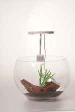 OrionLed Fanus & Nano Akvaryum Led Aydınlatma Spiral ( Ghoosneck ) 5v - Görsel 11