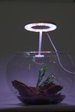 OrionLed Fanus & Nano Akvaryum Led Aydınlatma Spiral ( Ghoosneck ) 5v - Görsel 9