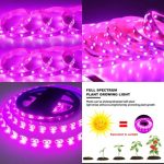 OrionLed TAM SPEKTRUM Bitki yetiştirme - Geliştirme Şerit Led aydınlatma  -12 volt adaptör dahil