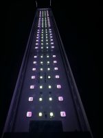 OrionLed C Serisi RGB-W  Kumandalı - Görsel 12