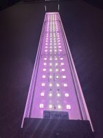 OrionLed C Serisi RGB-W  Kumandalı - Görsel 8