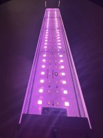 OrionLed C Serisi RGB-W  Kumandalı - Görsel 13