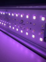 OrionLed C Serisi RGB-W  Kumandalı - Görsel 17