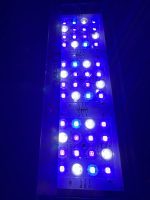 ORİONLED Nano C Reef SERİSİ - Görsel 7