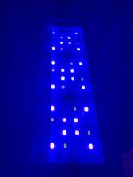 ORİONLED Nano C Reef SERİSİ - Görsel 8