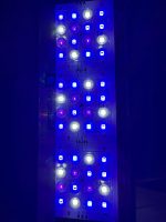 ORİONLED Nano C Reef SERİSİ - Görsel 5