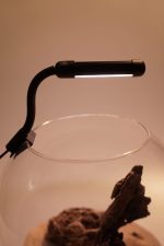 OrionLed Fanus Mini Led Siyah - Görsel 3