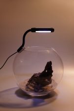 OrionLed Fanus Mini Led Siyah - Görsel 13