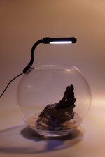 OrionLed Fanus Mini Led Siyah - Görsel 12