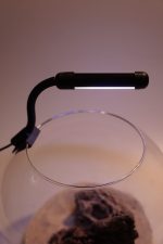 OrionLed Fanus Mini Led Siyah - Görsel 11