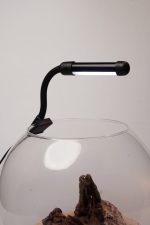 OrionLed Fanus Mini Led Siyah
