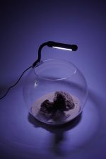 OrionLed Fanus Mini Led Siyah - Görsel 6