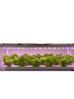 OrionLed Flora C Serisi Bitki Geliştirme Aydınlatması - Görsel 3