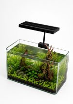 OrionLed Nano Grolüx Serisi